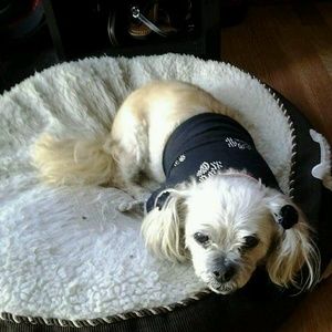 Meet your Posher, Brenda